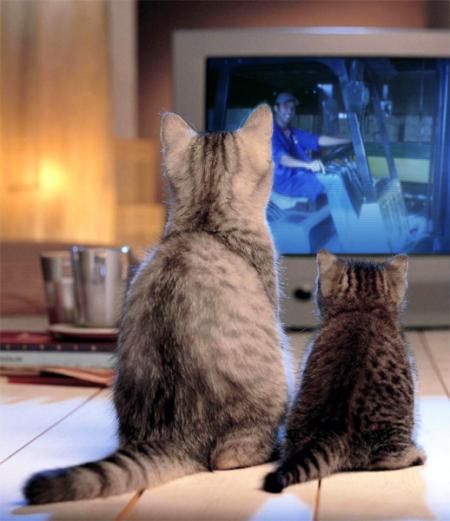 two cute ctas
